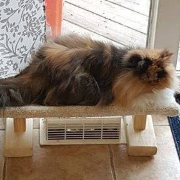 New Cat Bed For Over Registers; The Bedgister - Picture 3 of 12